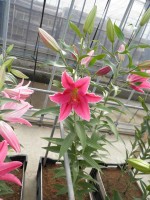 [1880 NightFever DJ No02.JPG]